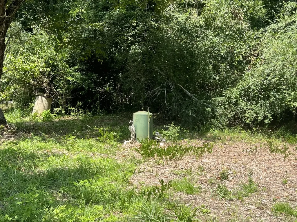 0 N State Highway 167 New Brockton AL 36351