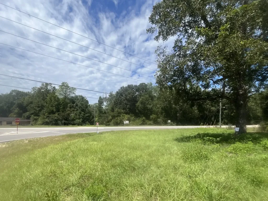 0 N State Highway 167 New Brockton AL 36351