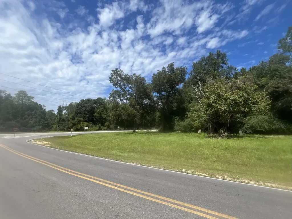 0 N State Highway 167 New Brockton AL 36351