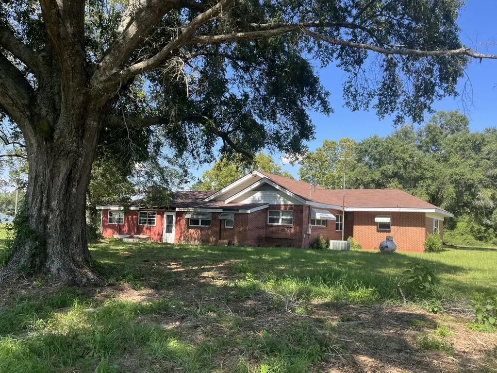 707 County Road 223 New Brockton AL 36351