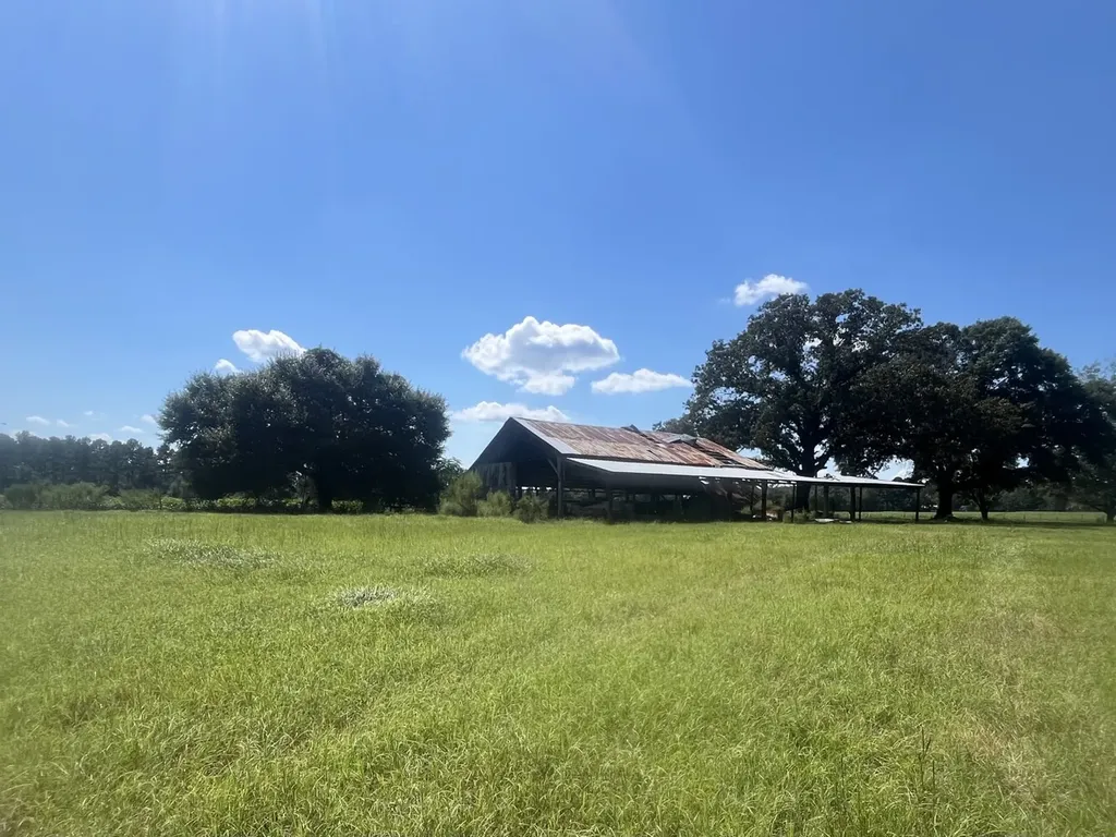 707 County Road 223 New Brockton AL 36351