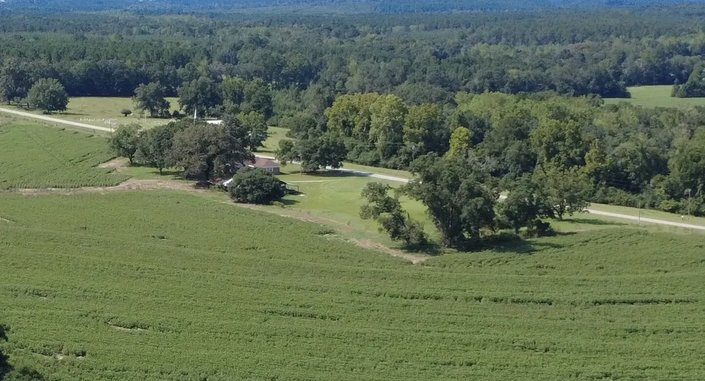 707 County Road 223 New Brockton AL 36351