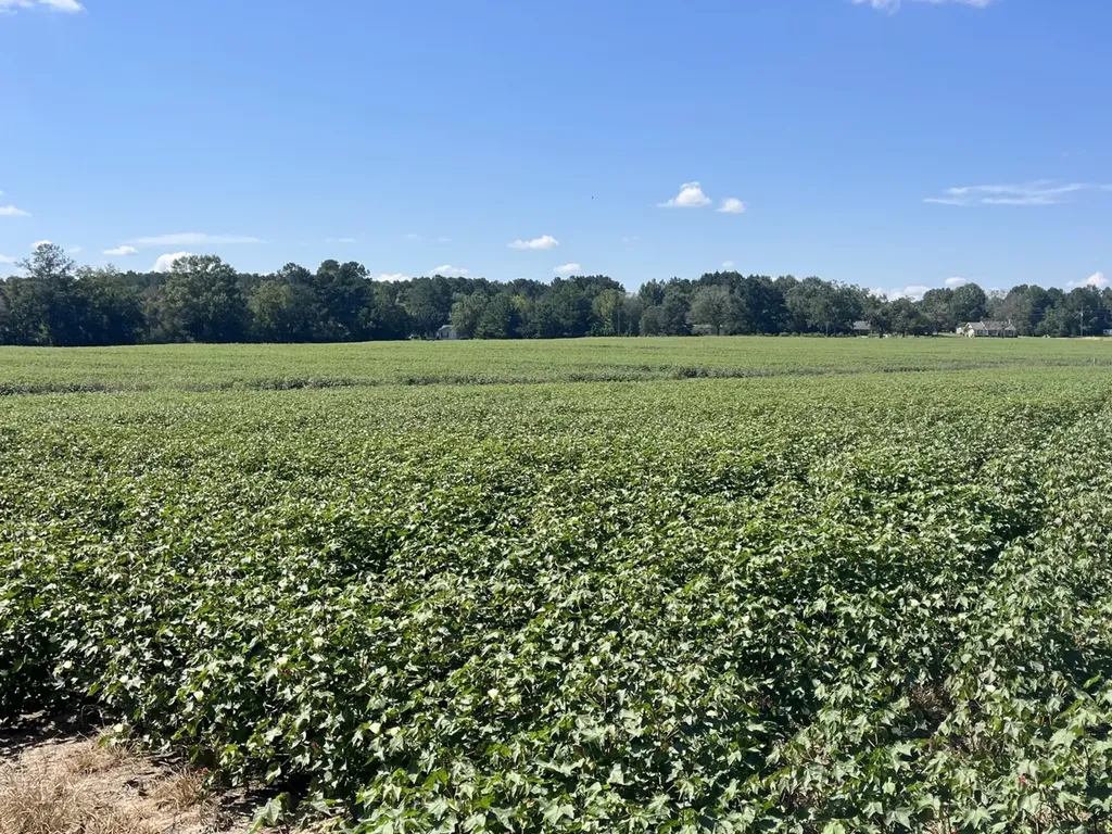 707 County Road 223 New Brockton AL 36351