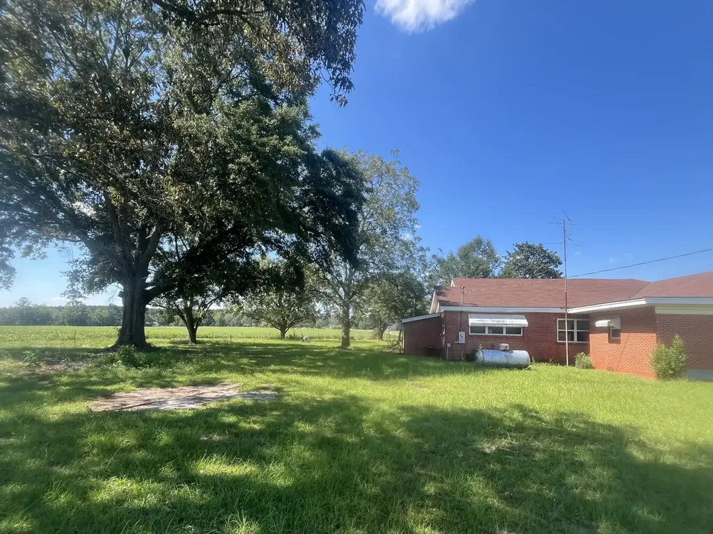 707 County Road 223 New Brockton AL 36351