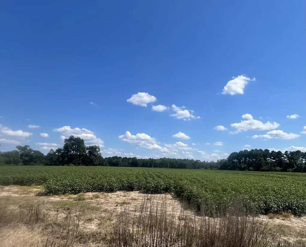 707 County Road 223 New Brockton AL 36351