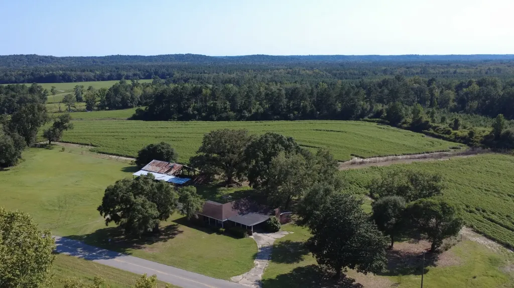 0 County Road 223 New Brockton AL 36351
