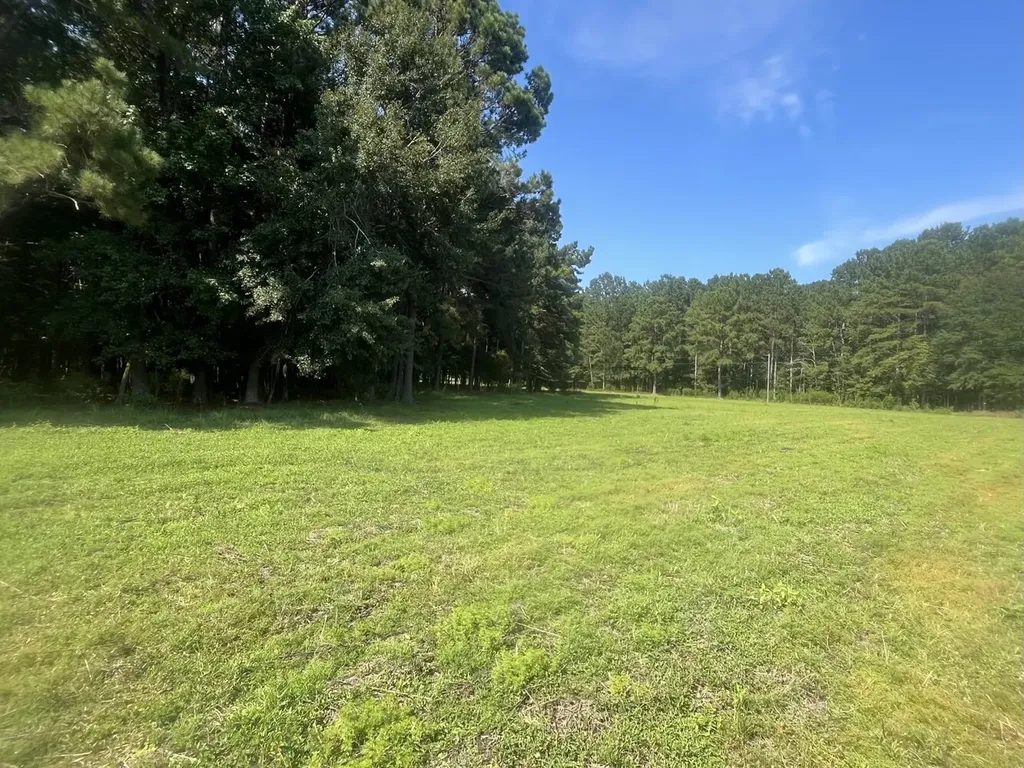 0 County Road 223 New Brockton AL 36351