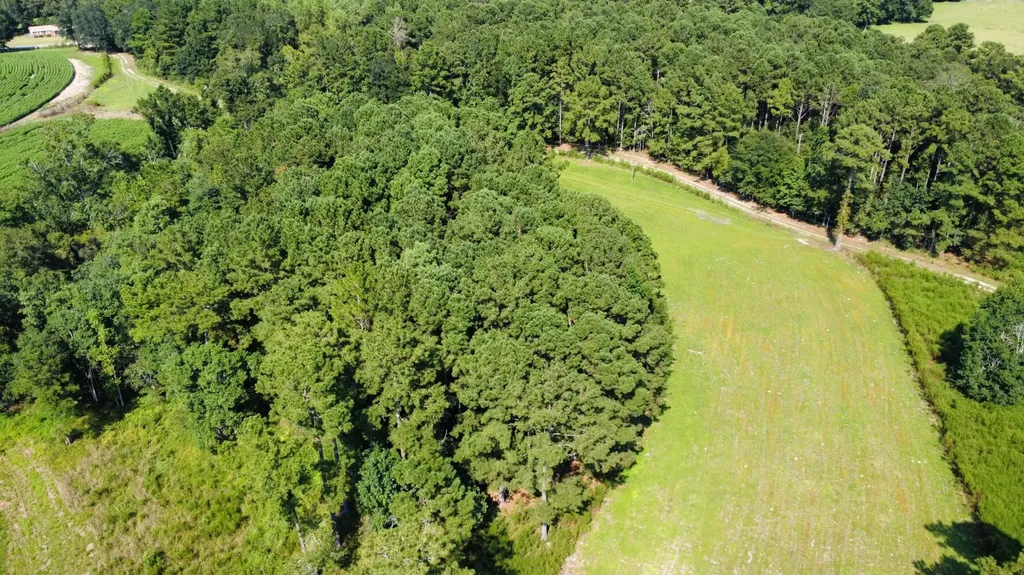 0 County Road 223 New Brockton AL 36351