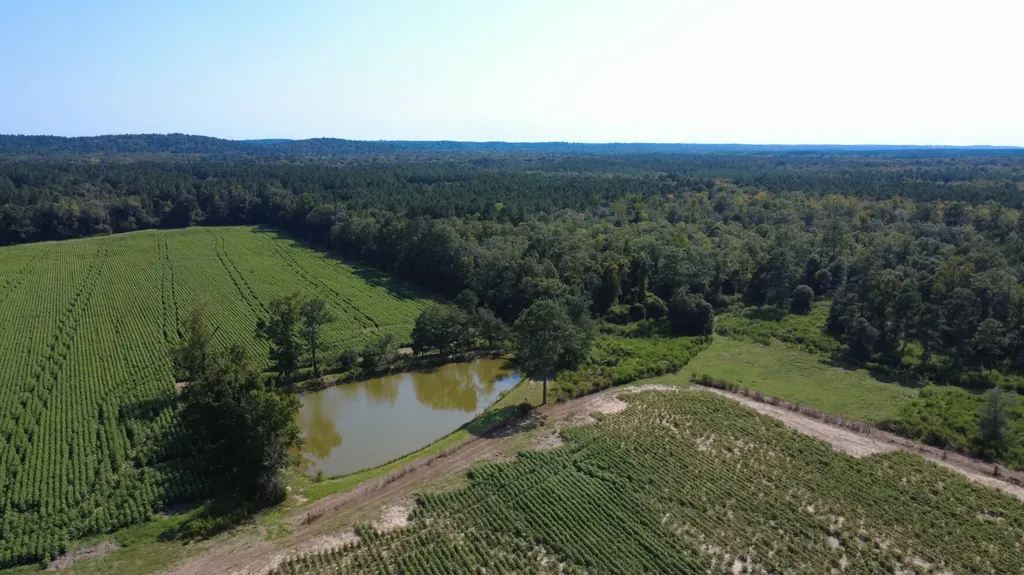 0 County Road 223 New Brockton AL 36351