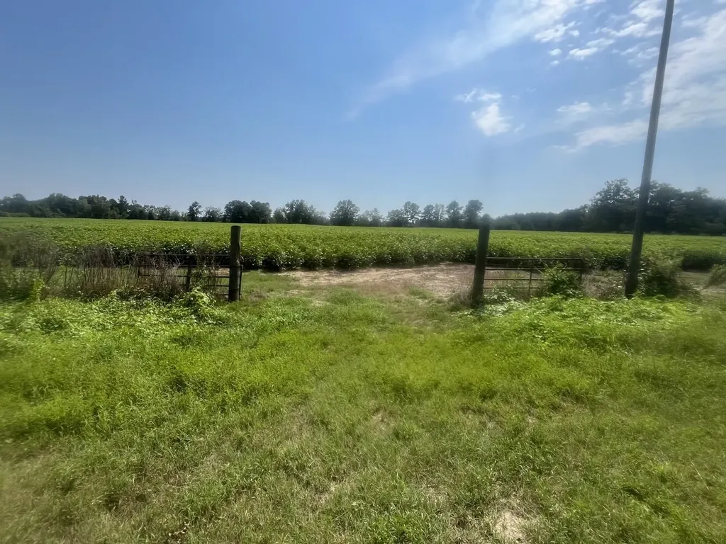 0 County Road 223 New Brockton AL 36351
