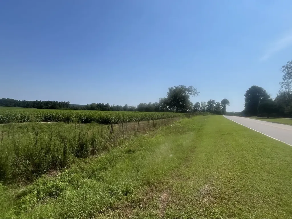 0 County Road 223 New Brockton AL 36351