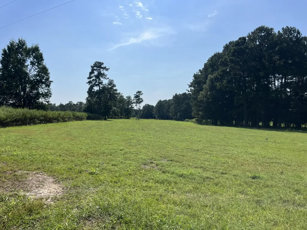 0 County Road 223 New Brockton AL 36351
