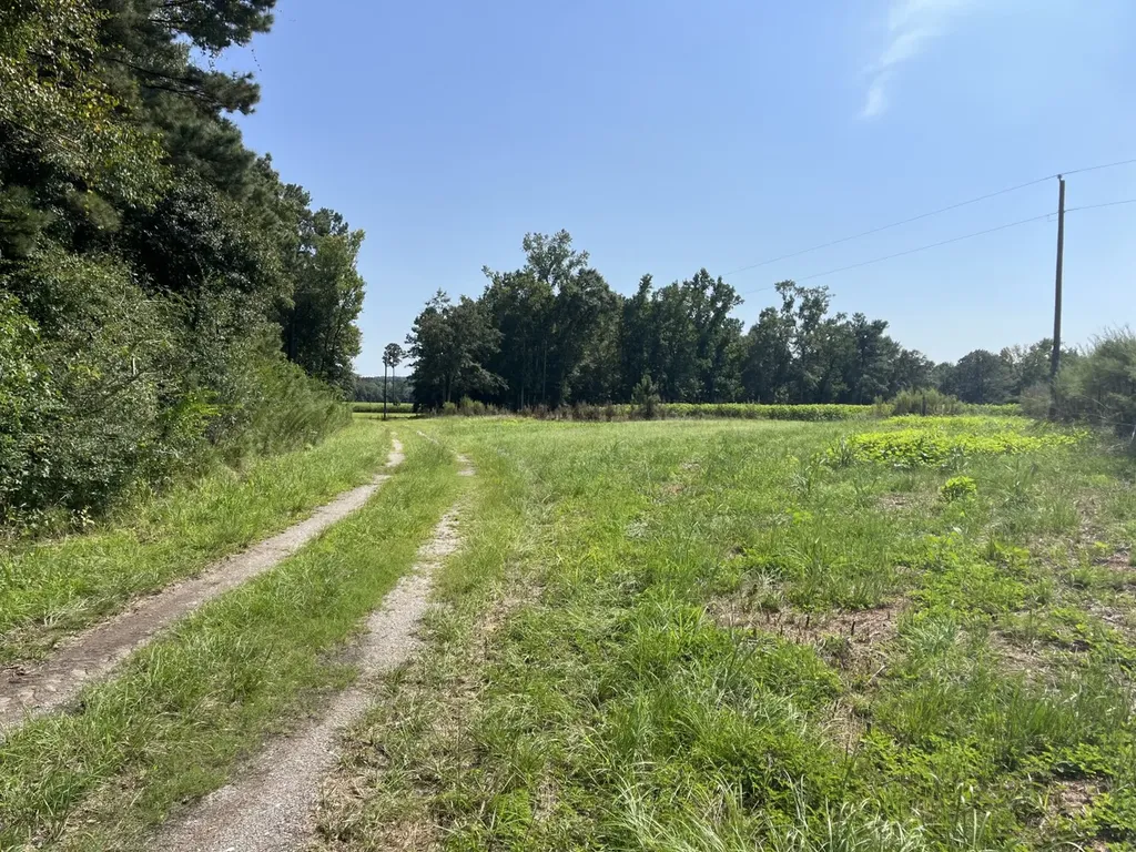 0 County Road 223 New Brockton AL 36351