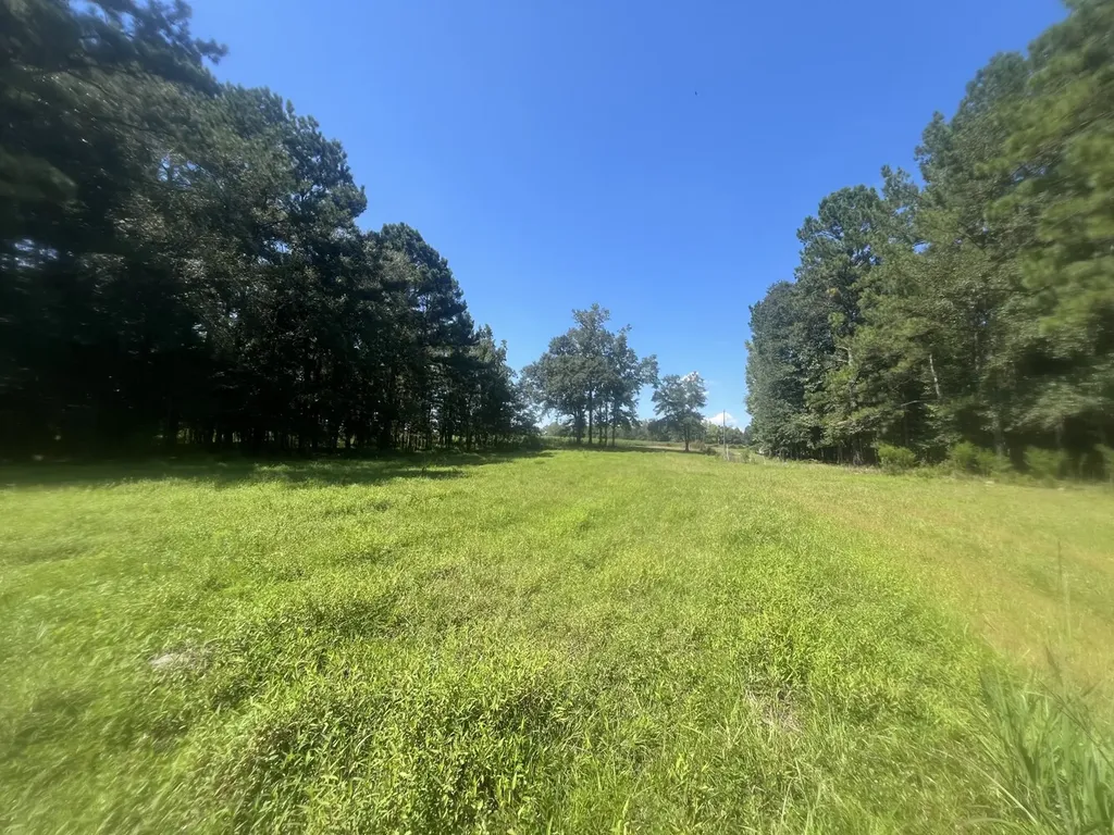 0 County Road 223 New Brockton AL 36351