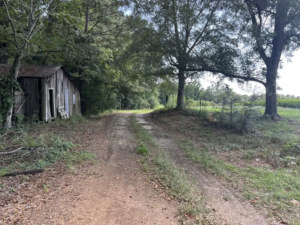 0 County Road 223 New Brockton AL 36351