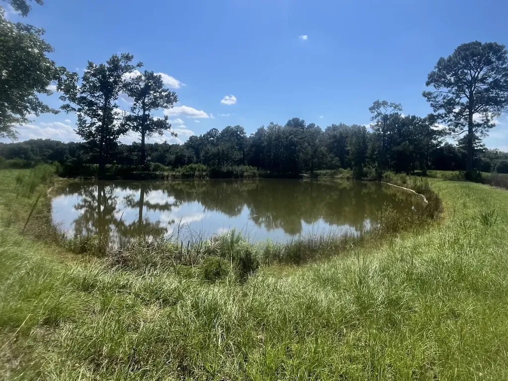 0 County Road 223 New Brockton AL 36351