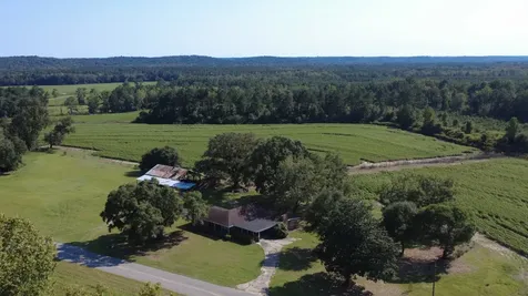 0 County Road 223 New Brockton AL 36351