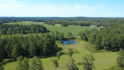 0 County Road 223 New Brockton AL 36351
