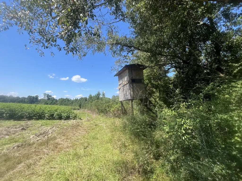 1 County Road 223 New Brockton AL 36351