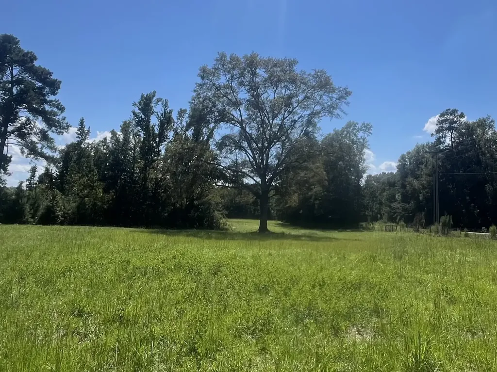 1 County Road 223 New Brockton AL 36351