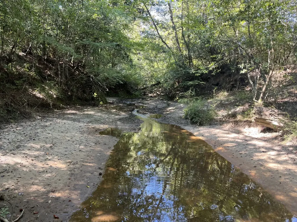 1 County Road 223 New Brockton AL 36351