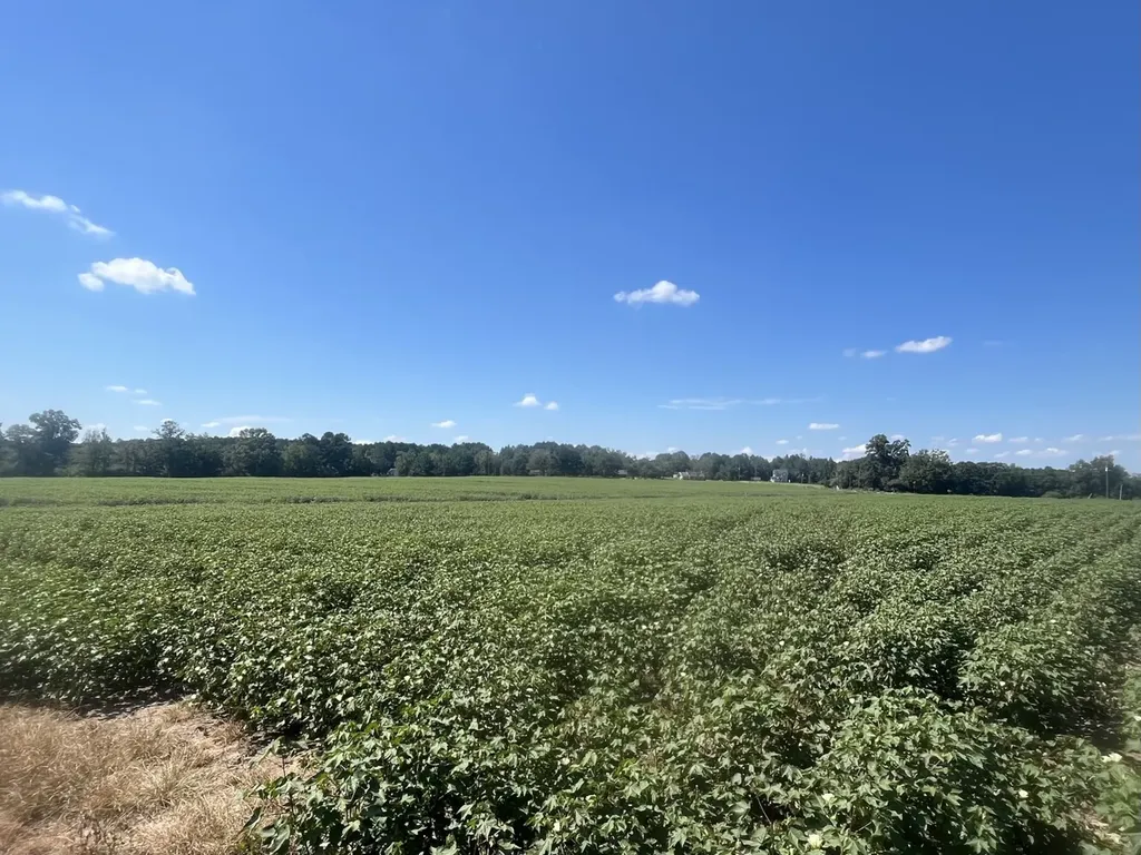 1 County Road 223 New Brockton AL 36351