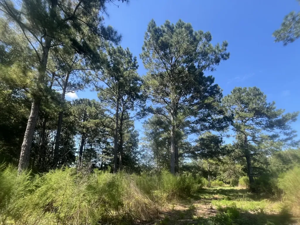 1 County Road 223 New Brockton AL 36351