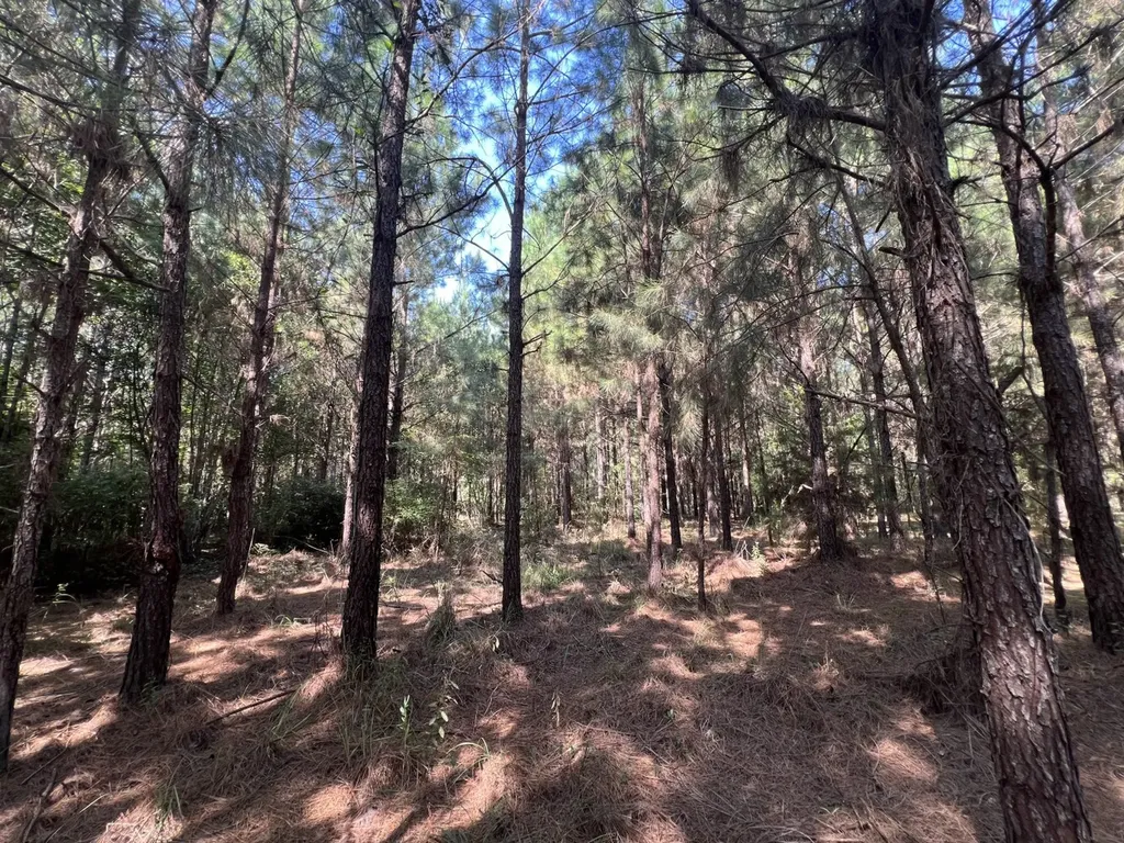 1 County Road 223 New Brockton AL 36351