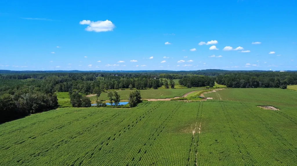 1 County Road 223 New Brockton AL 36351