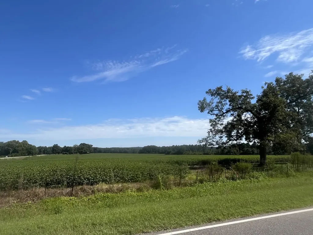 1 County Road 223 New Brockton AL 36351