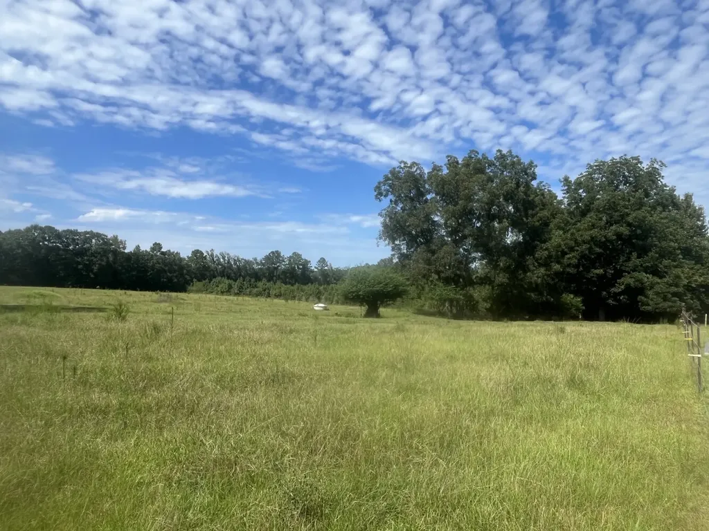 1 County Road 223 New Brockton AL 36351