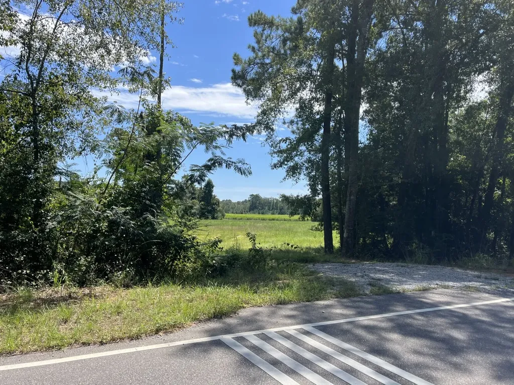 1 County Road 223 New Brockton AL 36351