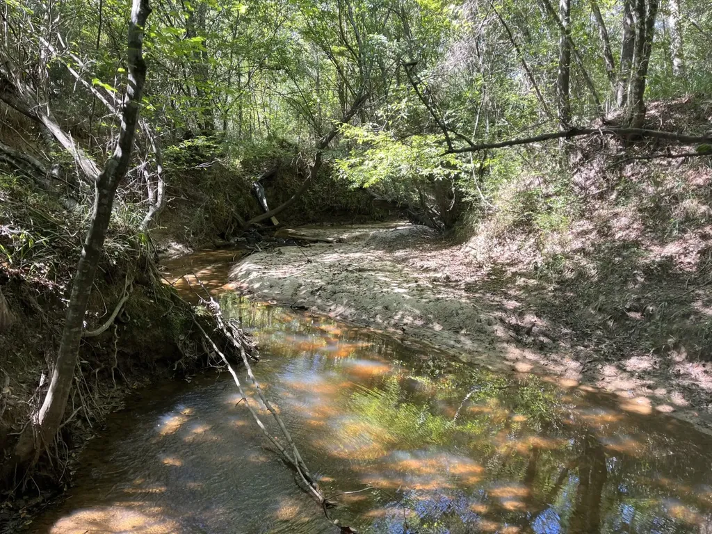 1 County Road 223 New Brockton AL 36351