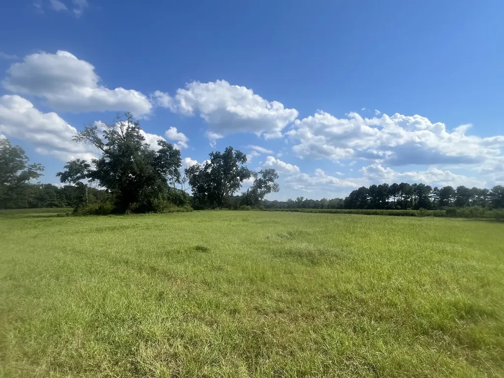 1 County Road 223 New Brockton AL 36351