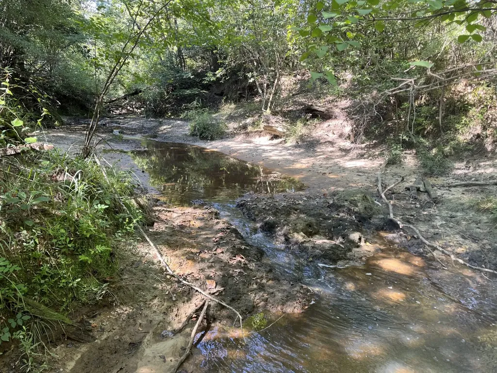 1 County Road 223 New Brockton AL 36351