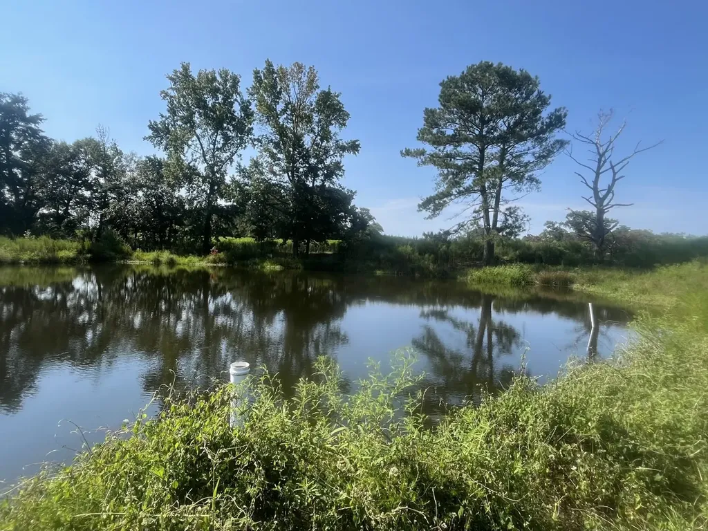 1 County Road 223 New Brockton AL 36351