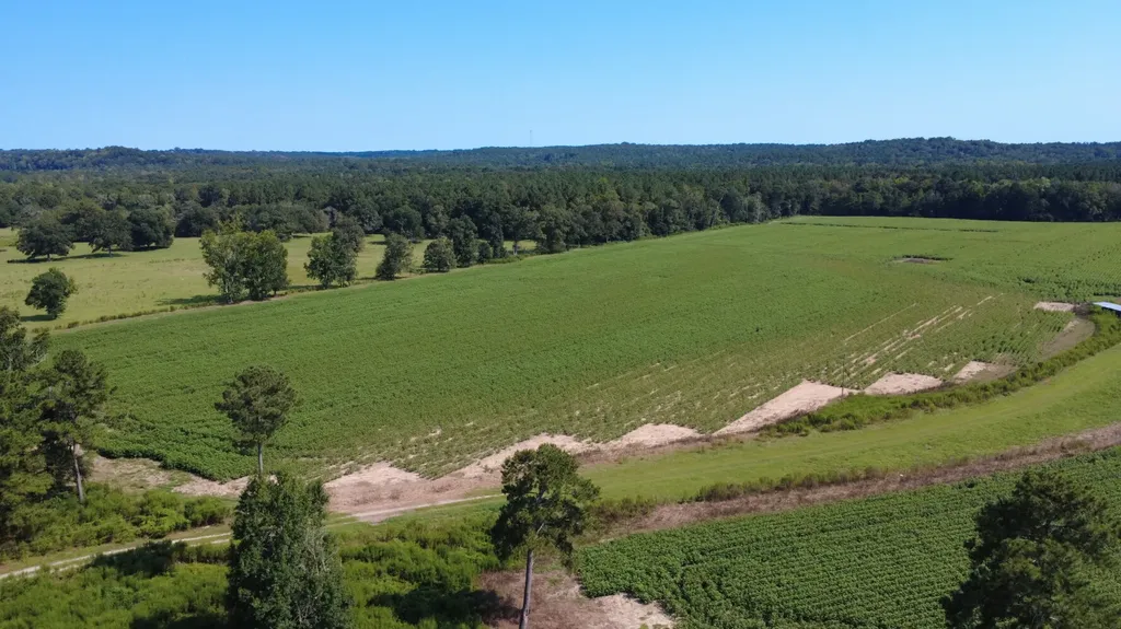 1 County Road 223 New Brockton AL 36351