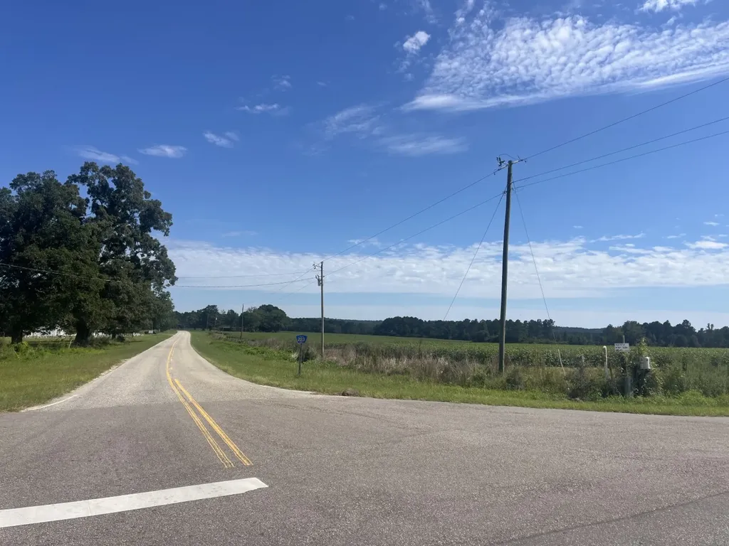 1 County Road 223 New Brockton AL 36351