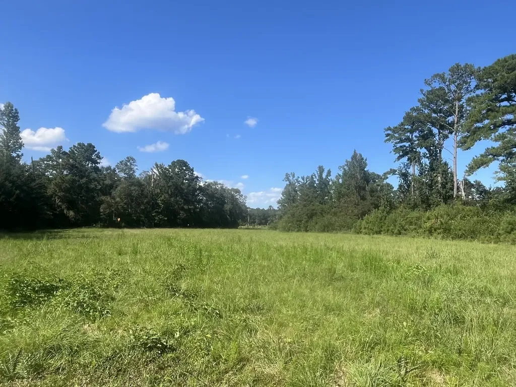 1 County Road 223 New Brockton AL 36351