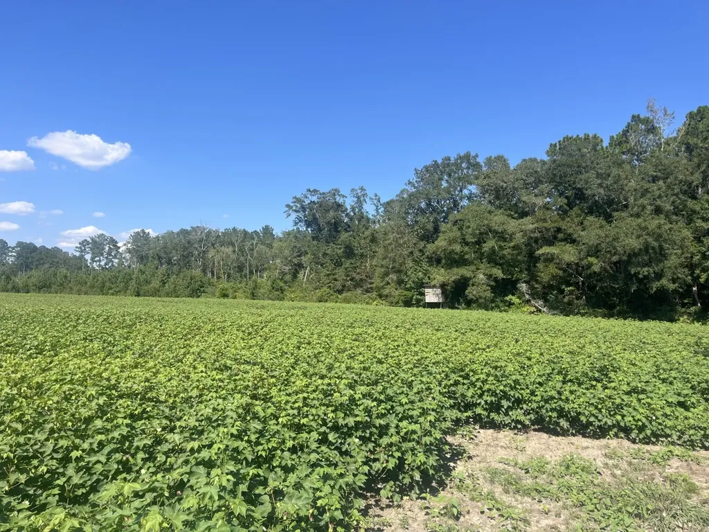 1 County Road 223 New Brockton AL 36351