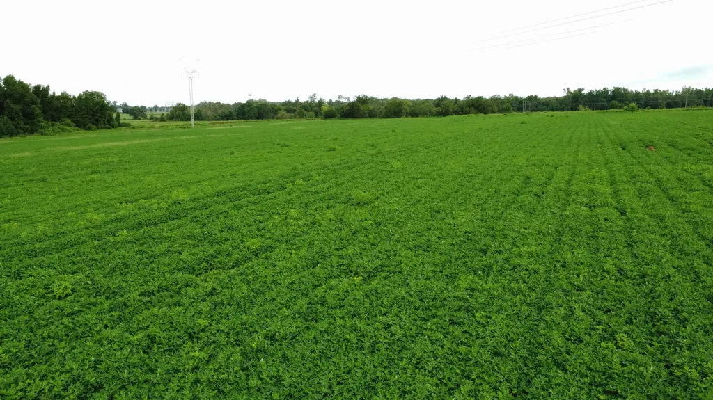 O Enon Road Webb AL 36376