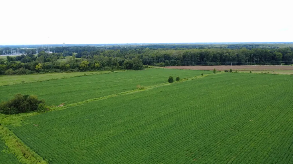 O Enon Road Webb AL 36376