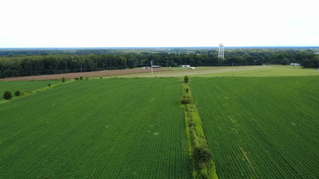 O Enon Road Webb AL 36376