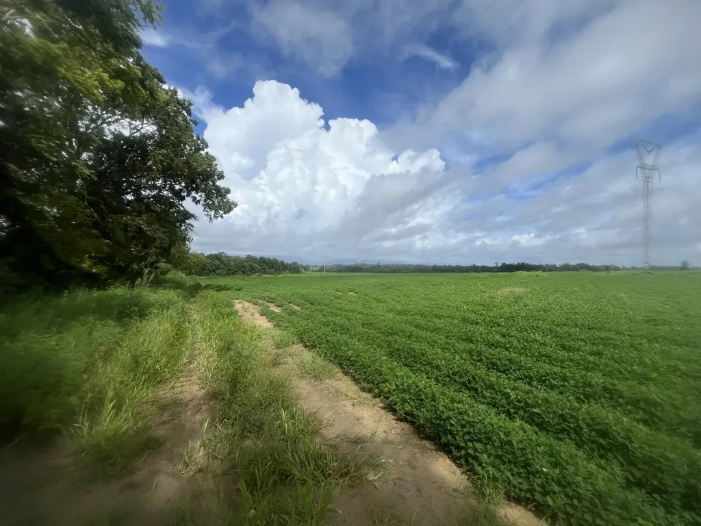 O Enon Road Webb AL 36376