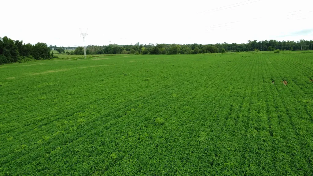 O Enon Road Webb AL 36376