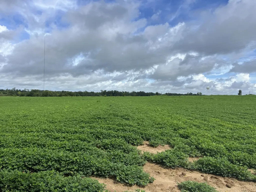 O Enon Road Webb AL 36376