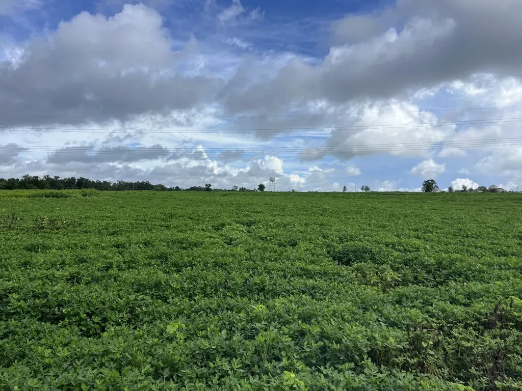 O Enon Road Webb AL 36376