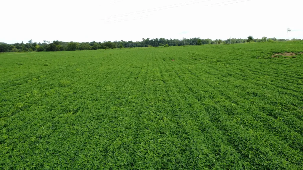 O Enon Road Webb AL 36376