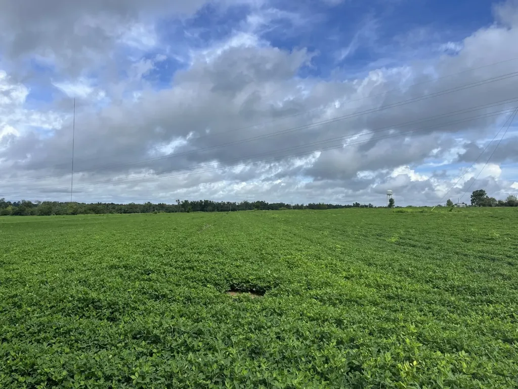 O Enon Road Webb AL 36376