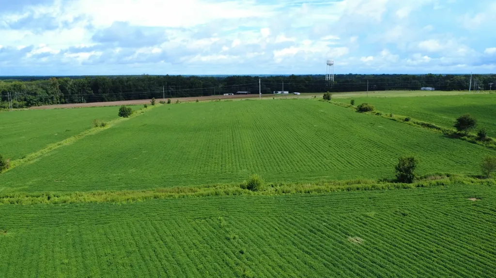 O Enon Road Webb AL 36376